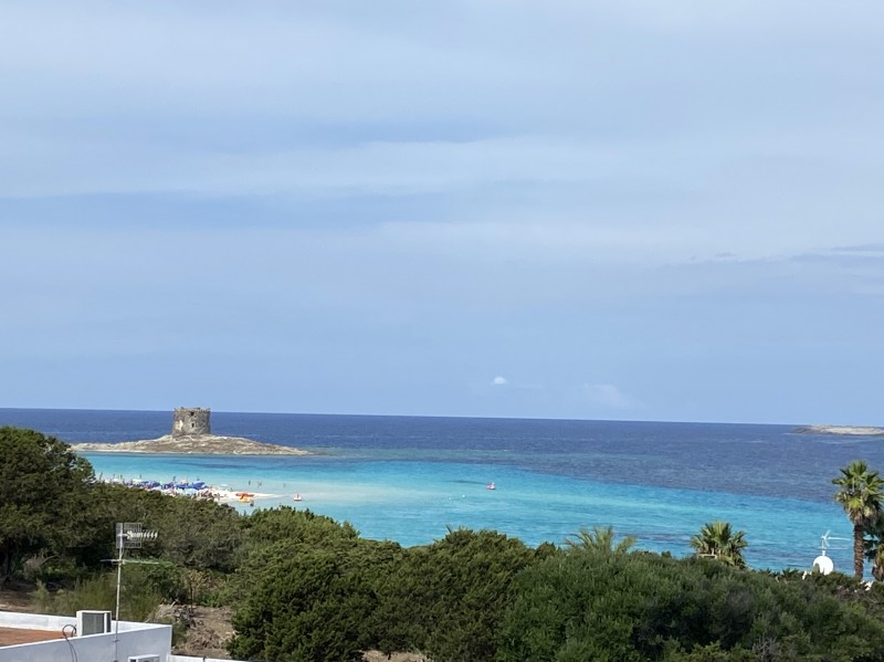 acqua del mare - Foto di Bravo Porto Pino, Sardegna - Tripadvisor